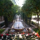 Rambla in Palma de Mallorca