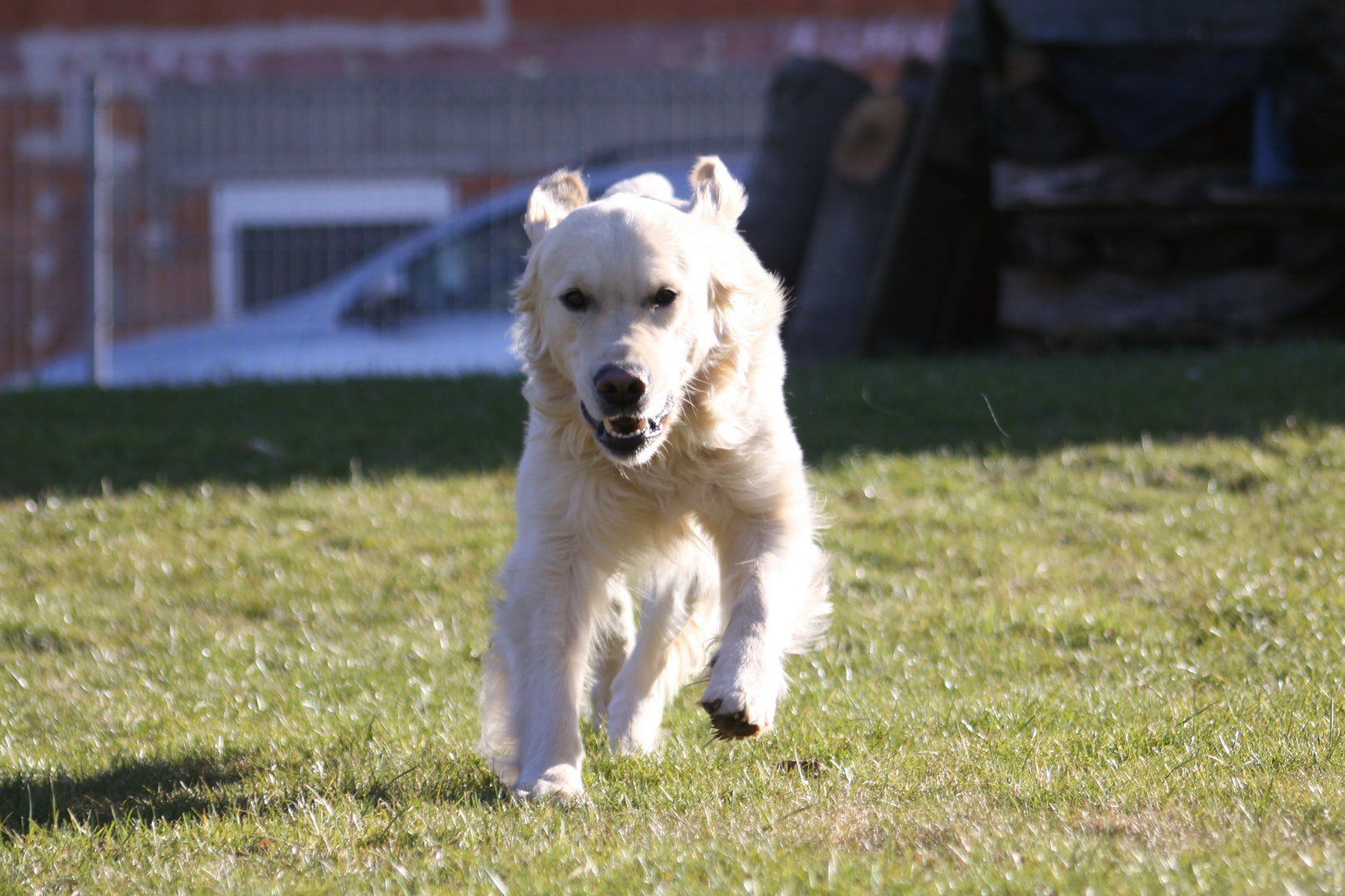 Rambo im Anflug