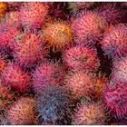 Rambutan