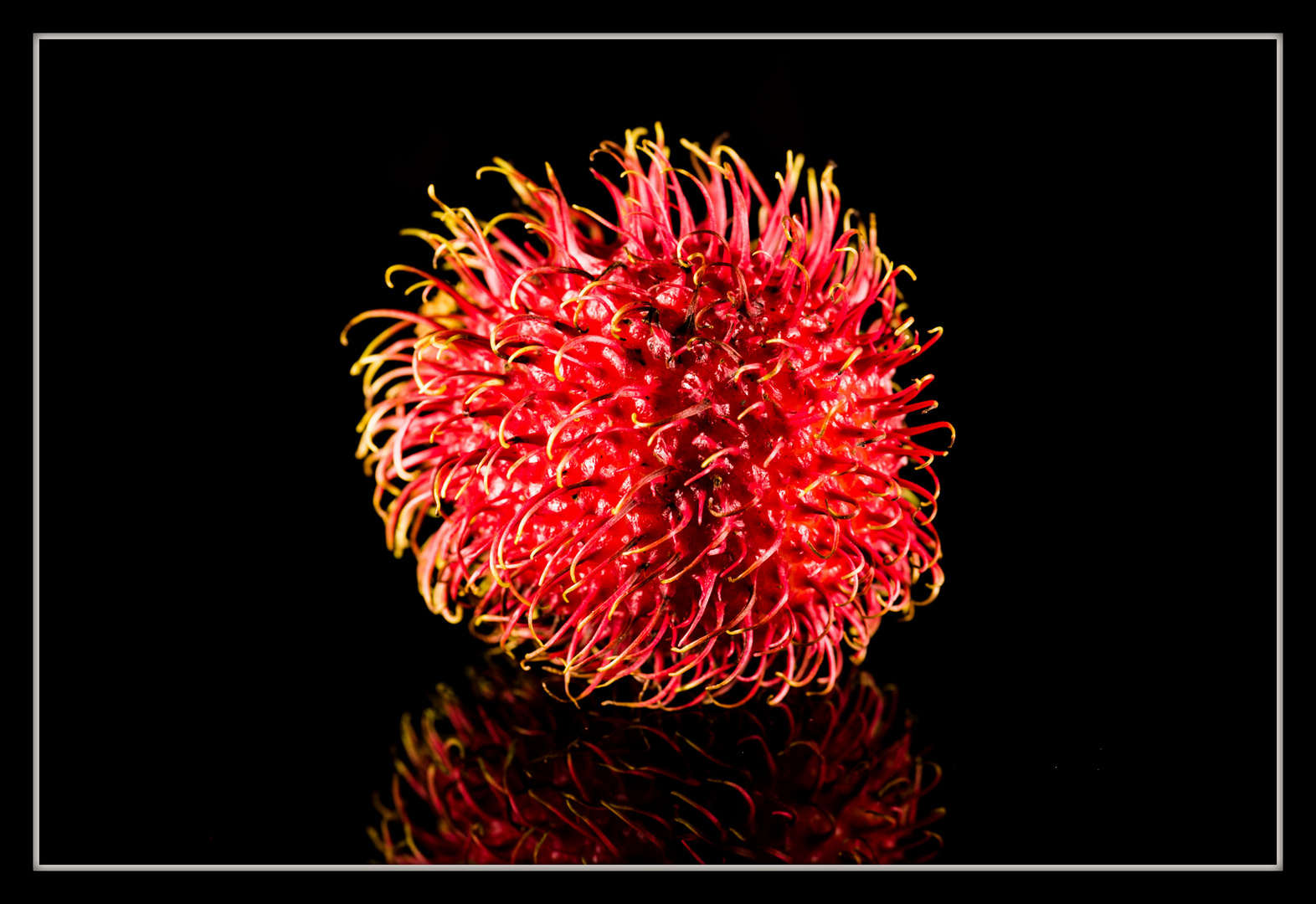 Rambutan