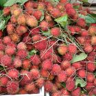 Rambutan