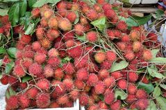 Rambutan