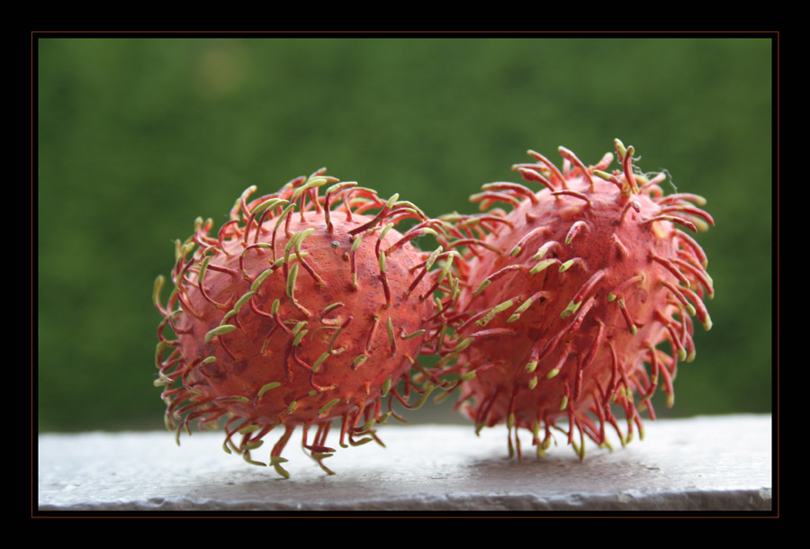 Rambutan