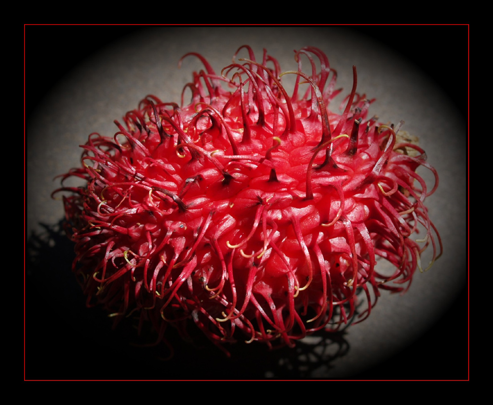 Rambutan