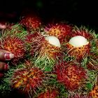 Rambutan Rocks