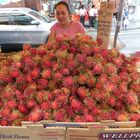 Rambutanverkäuferin in Chinatown - New York