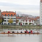 Ramer au fil de l'Adour