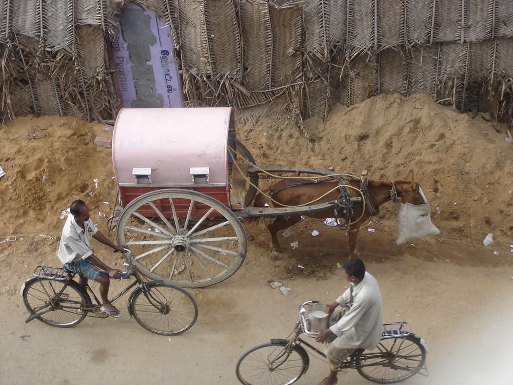 Rameswaram street life