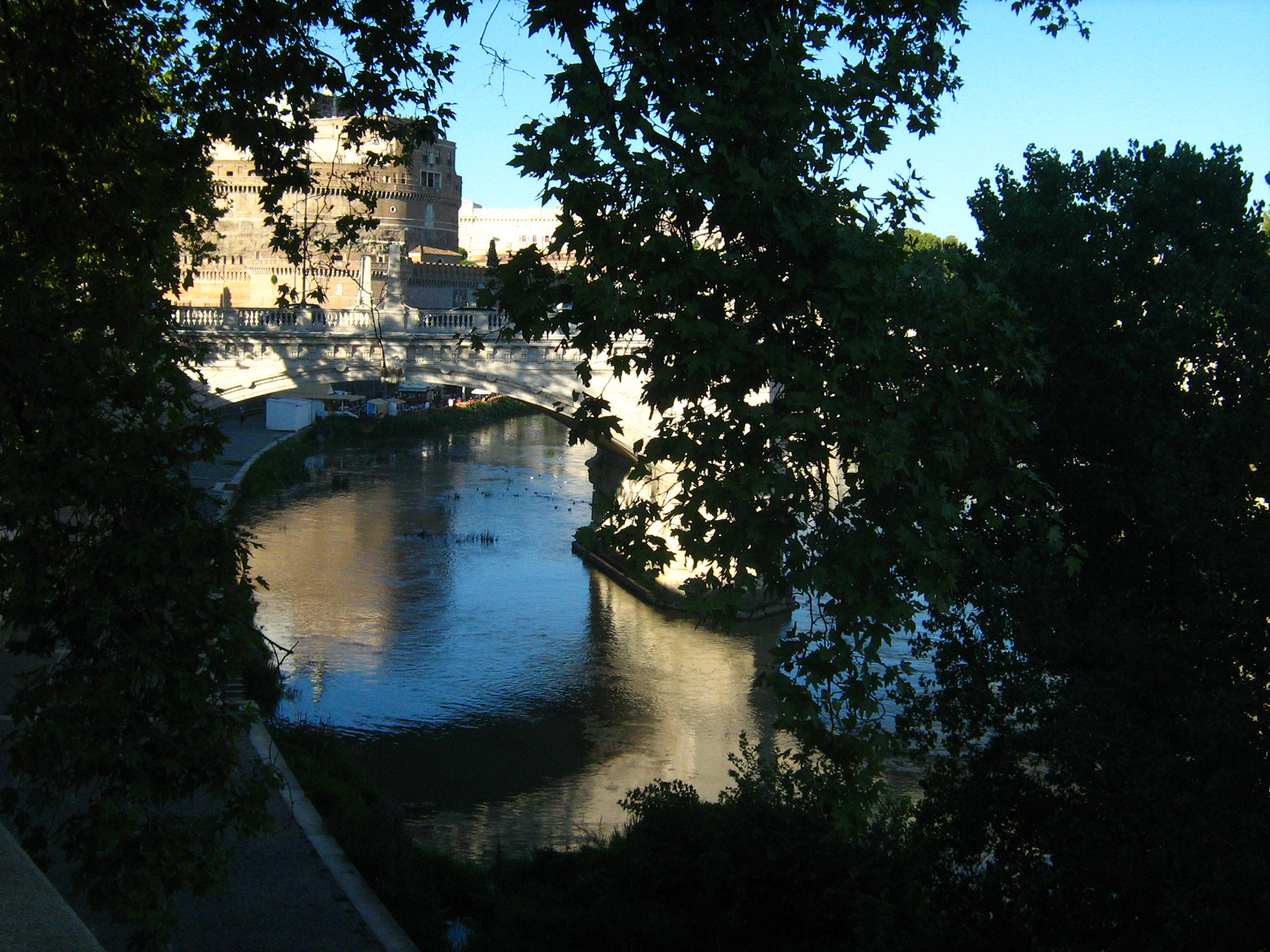 rami sul tevere