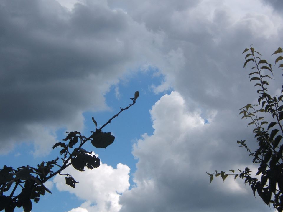 Ramo che apre il cielo