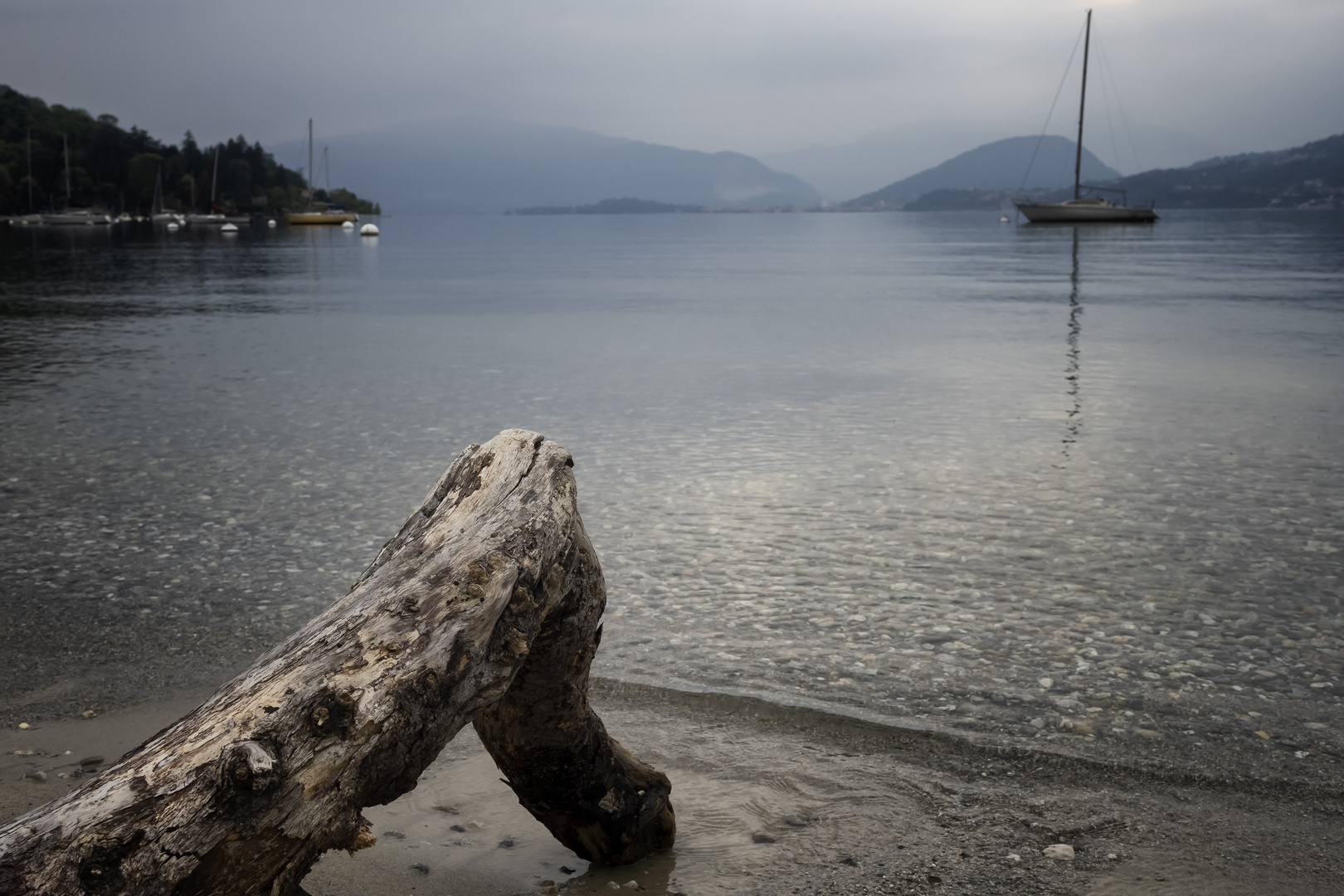 Ramo sulla spiaggia