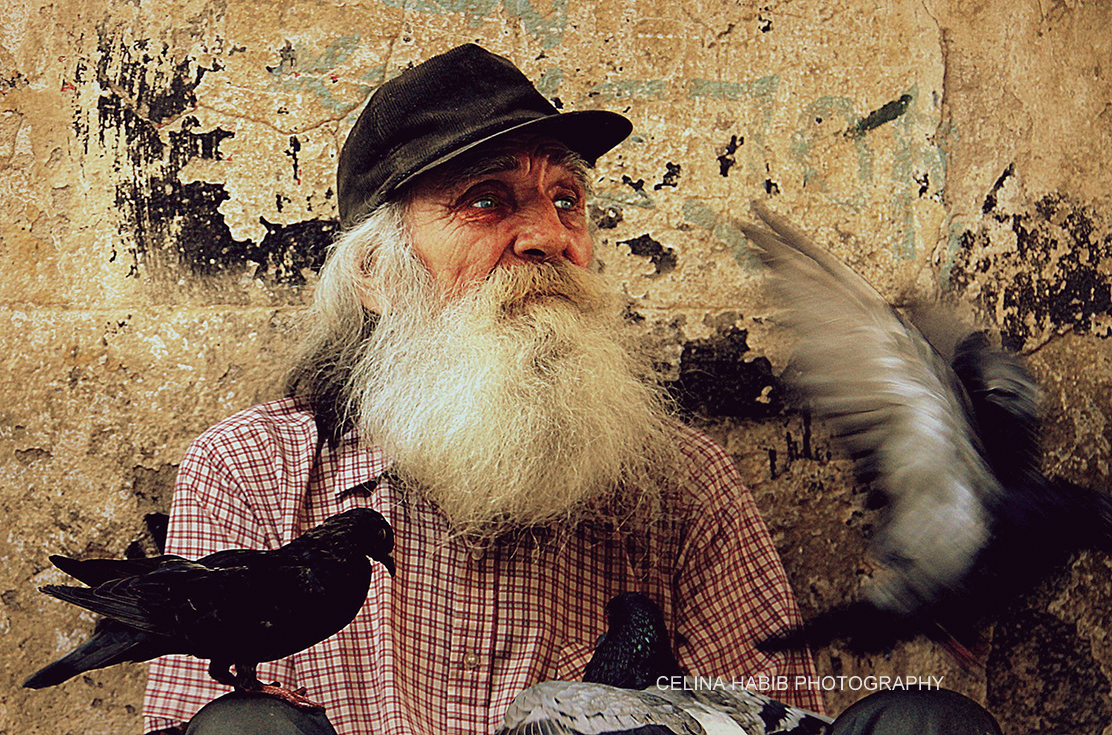 RAMON, SUS PALOMAS Y EL ATORRANTE