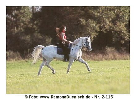 Ramona Dünisch und das Tigerhorse "Shadow"