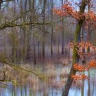 „Ramsar-Gebiet Auen im Zusammenfluss von March, Thaya