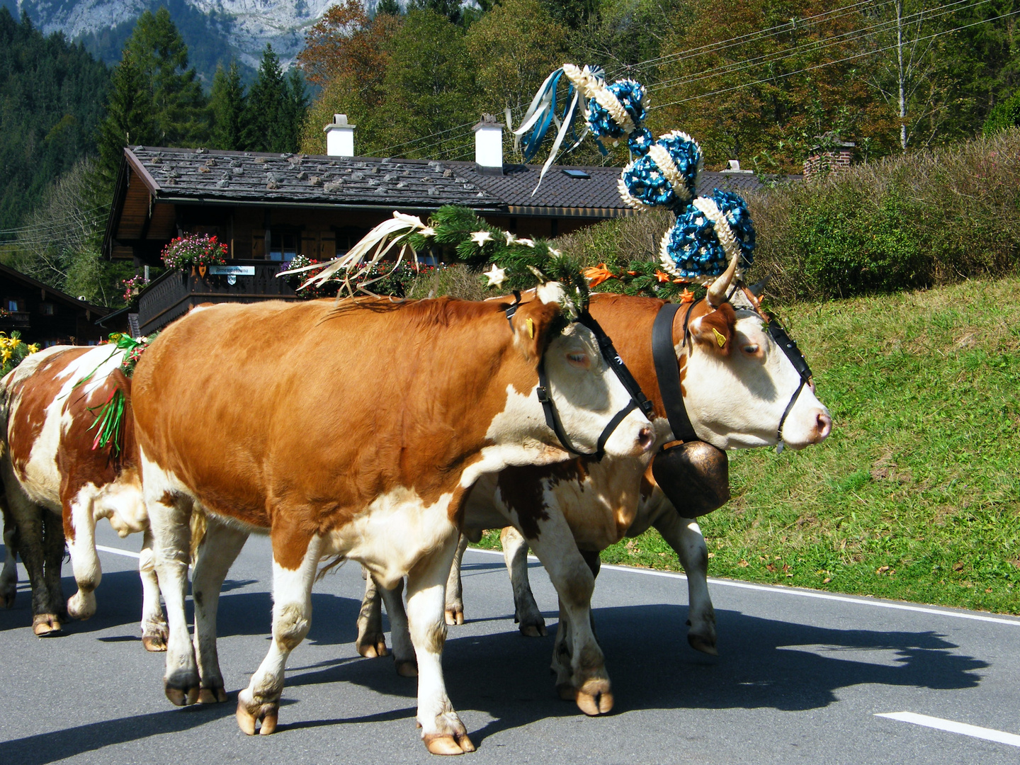 Ramsau