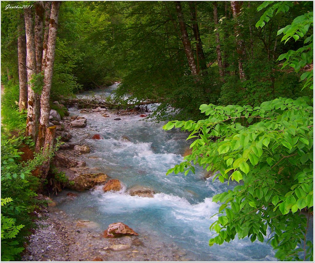 Ramsau, im Zauberwald