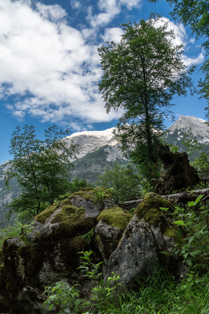 Ramsau Nationalpark