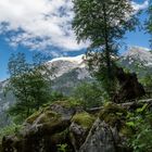 Ramsau Nationalpark