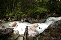 Ramsauer Ache im zauberwald