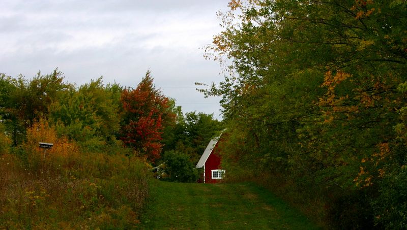 Ramsdell Nature Park, MI