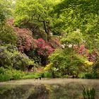 Ramster Garden - Award Winning Woodland Garden within The Surrey Hills,