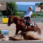 Ranch - Horse 10.7.2010