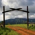 Ranch im Hinterland von Kauai