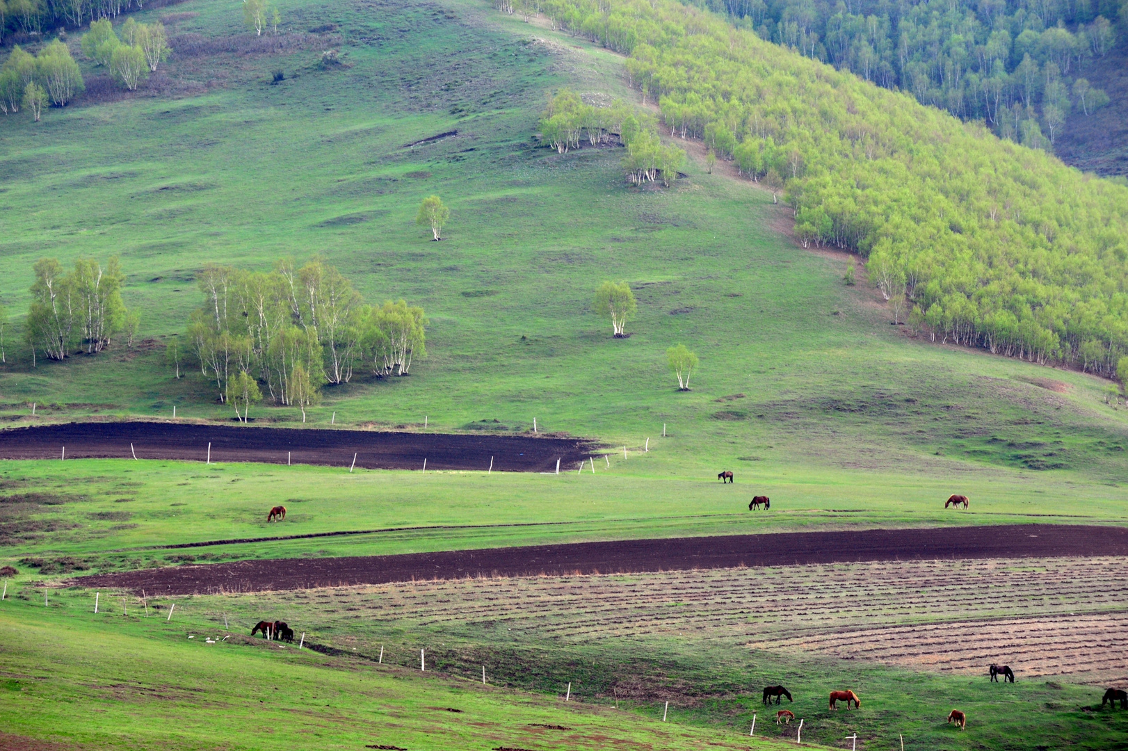 Ranch in Love Valley