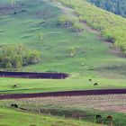 Ranch in Love Valley