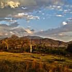 Rancho Monte del Toro, Oaxaca