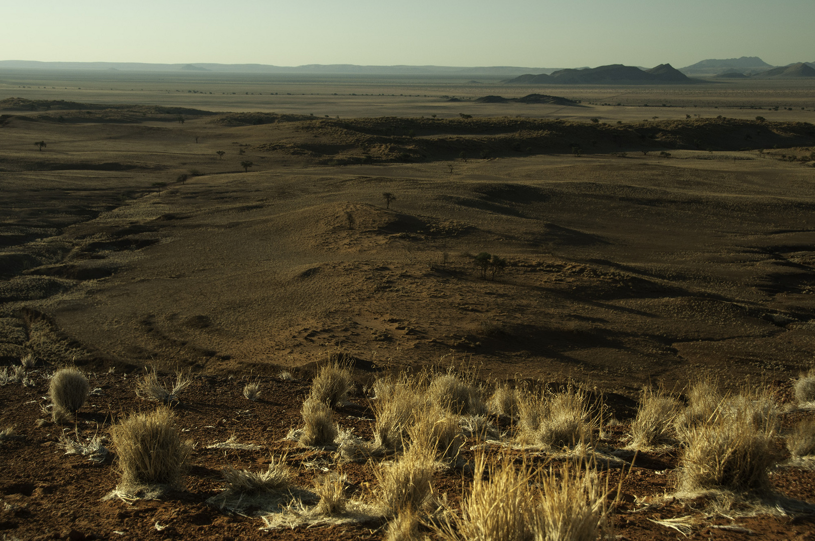 Randgebiet Namib 