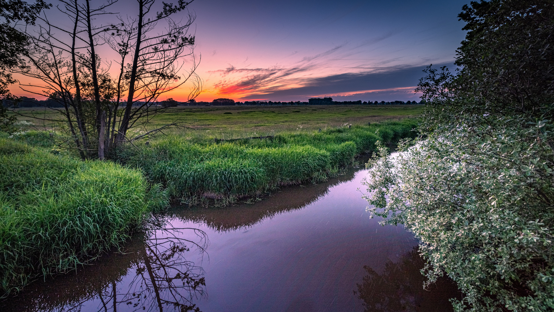 Randkanal am Westufer des Dümmer Sees