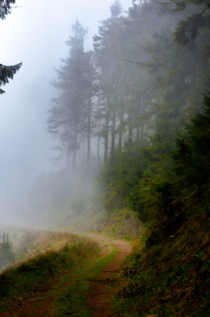 Rando dans la brume