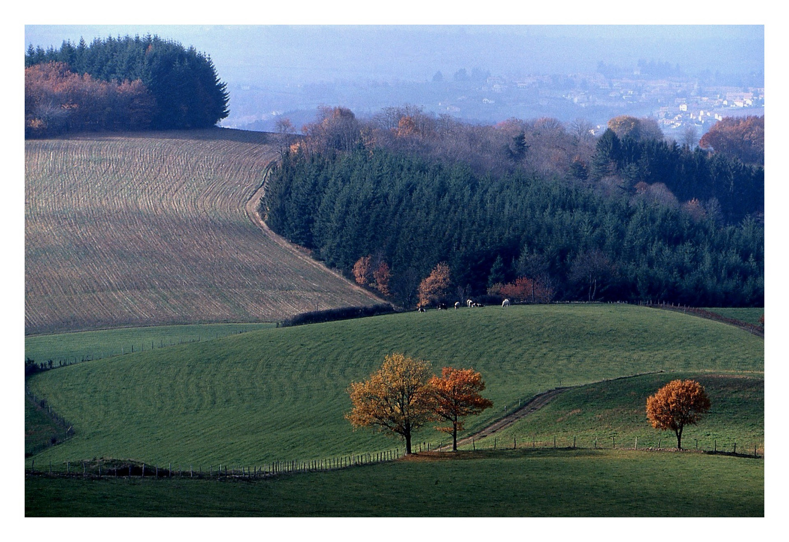 Rando d'automne