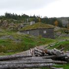 Random, Trinity Bay Newfoundland