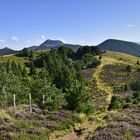 randonnée au Puy des Gouttes (Auvergne)