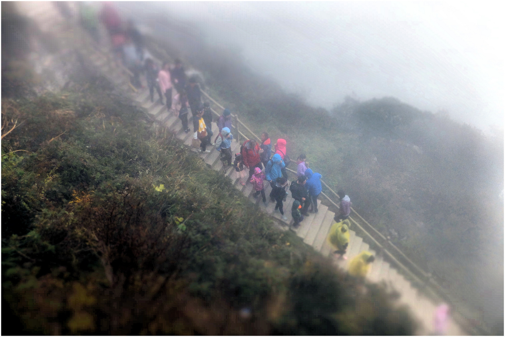 Randonnée dans la brume