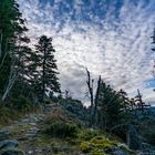 Randonnée dans les Monts du Pilat