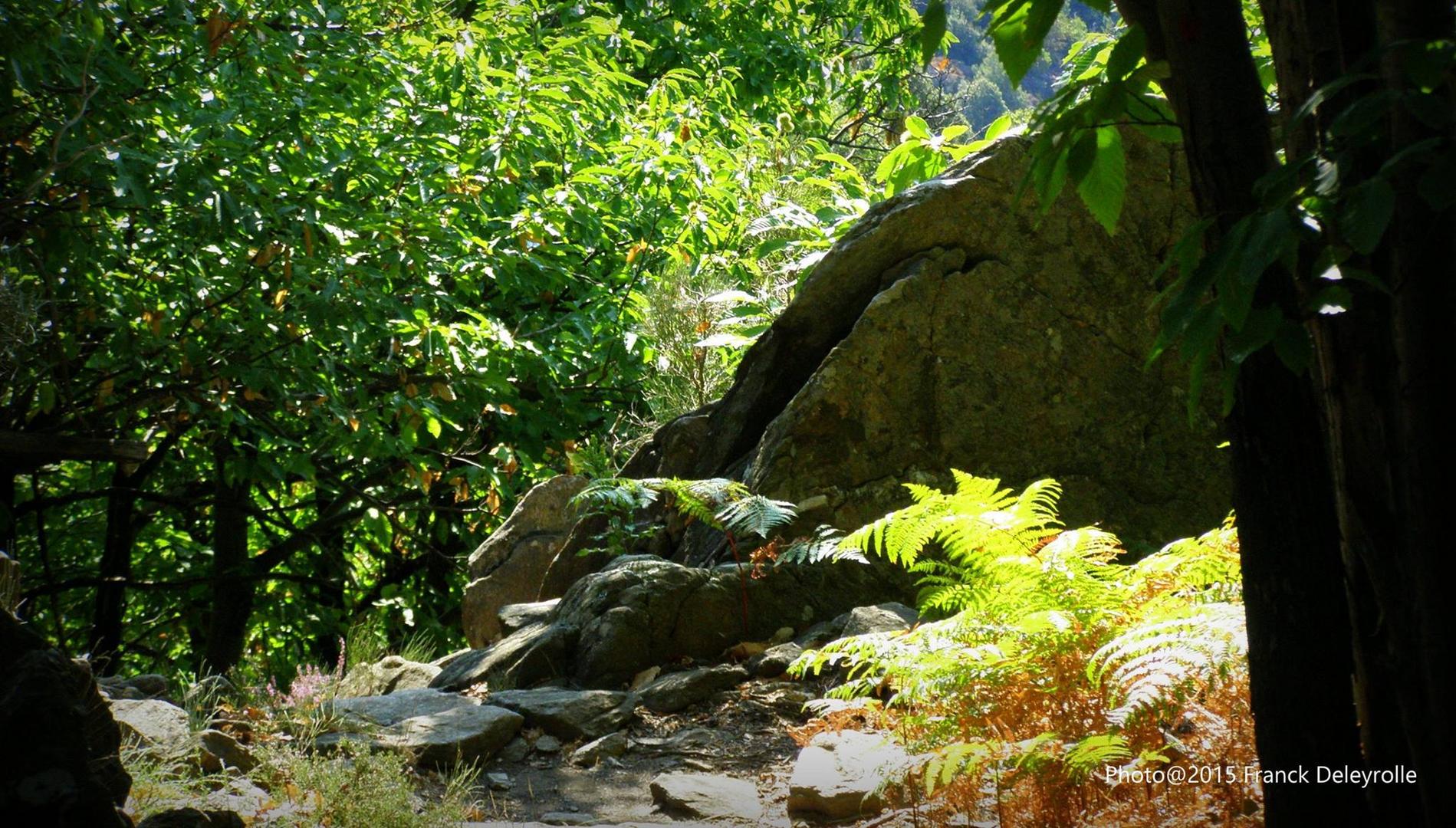 Randonnée en Ardèche