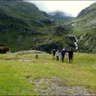 Randonnée en Vanoise !