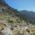 Randonnée Vers le Lac AUTIER Mercantour