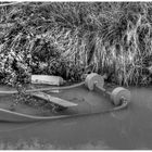 randvoll; Beiboot im Canal du Midi_Monochrom