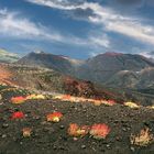 Range of Etna