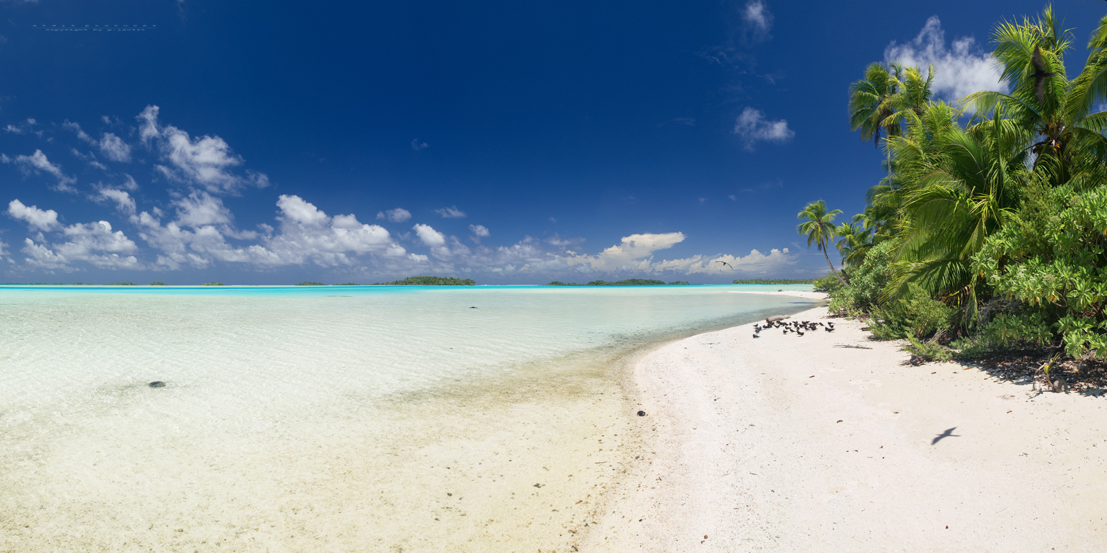 Rangiroa Atoll - French Polynesia 2015 - Pano II