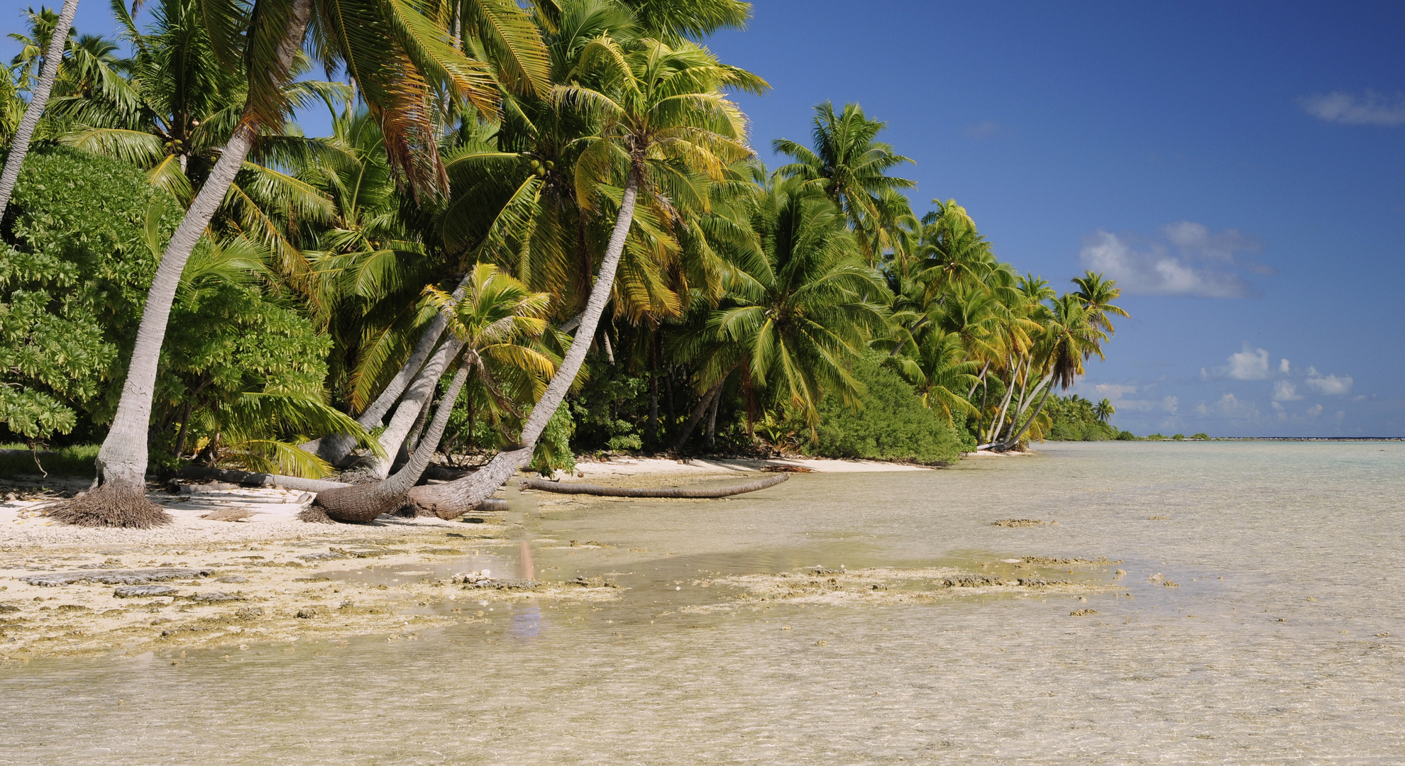 Rangiroa Atoll Ozeanien - Französisch Polynesien 