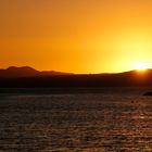 Rangitoto bei Auckland