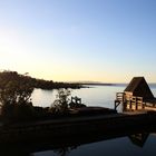 Rangitoto.