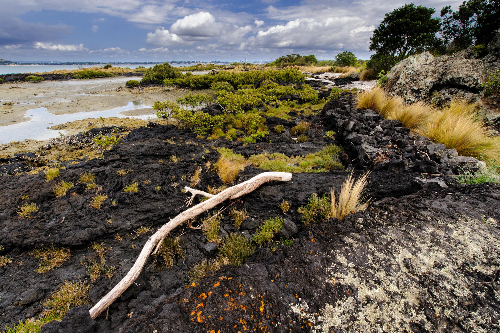 Rangitoto Island