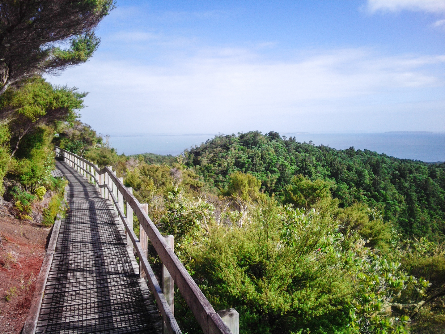 Rangitoto Island, New Zealand