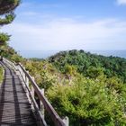 Rangitoto Island, New Zealand